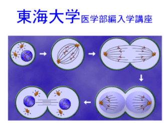 東海大学医学部編入学講座　清光編入学院