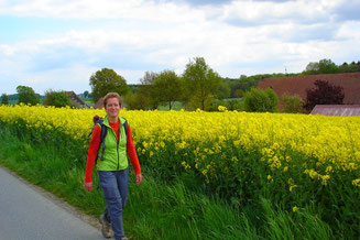 Vor dem Rapsfeld