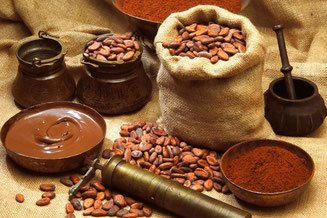 Les fèves de cacao sont utilisées pour la fabrication du chocolat.
