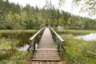 Isojärvi National Park in der Seenplatte im Süden Finnlands