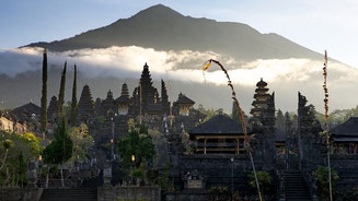 monkey forest Bali