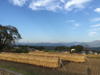 天日干し　〜　秋の牧歌的風景の象徴ですね