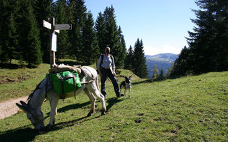 Crédit Photo : Vue d'en Haut