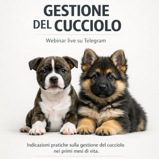 webinar sulla gestione del cucciolo