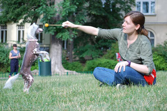 Sarah Lehner Unterberger Tricktraining Hundetraining