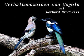 Foto G.Brodowski