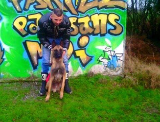 adoption chien en refuge - société protectrice animaux - Bréhand - Côtes d'Armor - Bretagne