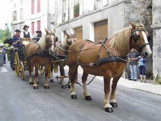 attelage en arbalète