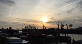 Bild: Sonnenaufgang vom Hamburger Fischmarkt aus