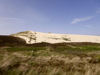 Bild: Die Wanderdüne auf Sylt