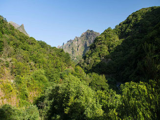 Bild: Ausblick auf die Berglandschaft