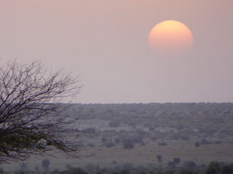 Bild: Sonnenuntergang in der Wüste Thar bei Jaisalmer, Rajasthan in India