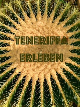 Teneriffa, Natur pur