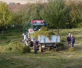 Mäharbeiten auf der Sauwiese
