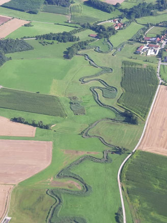 Yvonne Mayer Reutlingen Tübingen Bochum Wattenscheid Psychotherapie Körperpsychotherapie IoPT Aufstellen Entwicklungstrauma Bindungstrauma Dami Charf Franz Ruppert Franz Renggli Healy Neurogenes Zittern Verbundatmen Rebirthing Authentische Wurzeln Olbrich