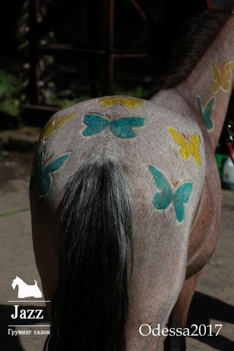 бабочки, пони, груминг одесса, первый мастер по лошадям, креатив на лошадях