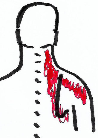 Praxis für ärztliche Osteopathie Hamburg