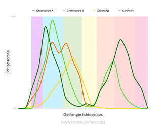 chlorofyl spectrum