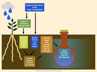 olla pot irrigatie, watergeefpot