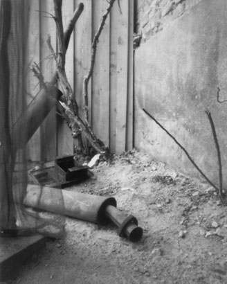 © Dietrich Oltmanns