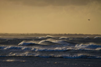 Wintersturm: Kalender Normandie