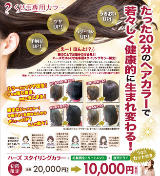 たった20分のヘアカラーで若々しく健康的に生まれ変わる