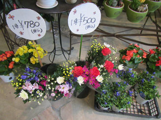 la florista ラ フロリスタ福島県本宮市のお花屋さん jimdo