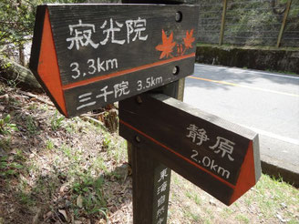 最後の登りを登り切って、江文峠。もう登りはありません。こんなに嬉しい江文峠は初めてです。笑。