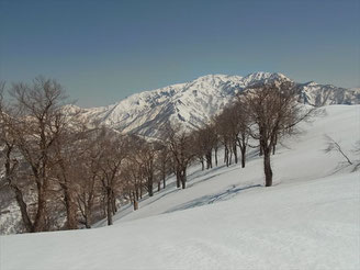 大渚山(1,566.3ｍ)山頂から天狗原山と金山