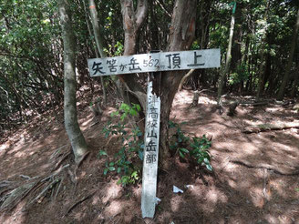 矢筈ヶ岳(562m)