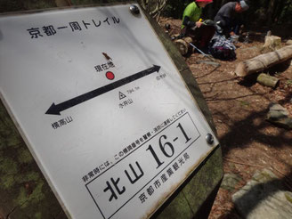このルートの最高地点。標高794m水井山山頂。