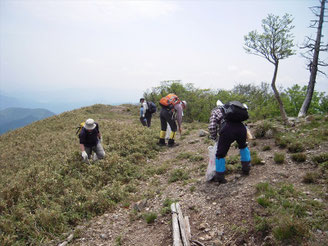 綿向山頂のゴミ拾い