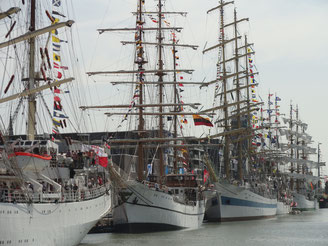 Sail in Bremerhaven - ein Erlebnis ! Schifffahrtsmuseum, Climahaus , Auswanderermuseum und Fischereihafen sehr zu empfehlen