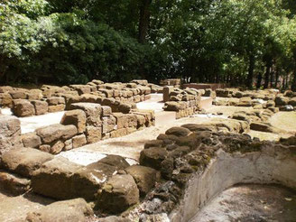 Area archeologica etrusco-sannitica di Fratte 
