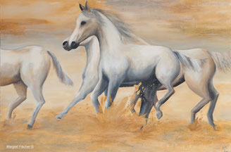 Margret Fischer ©, Malerei, zart, Pferde, Schimmel, Galopp, gelb, creme, weiß