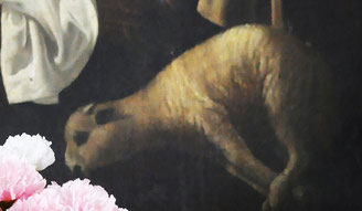 Campana - détails
