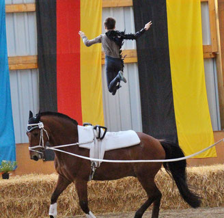 Simon Stolz / Ingelheim