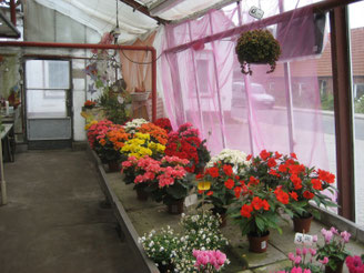 Blumenladen Norden