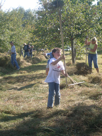 Foto: Rudolf Wittmann (LBV Bildarchiv)