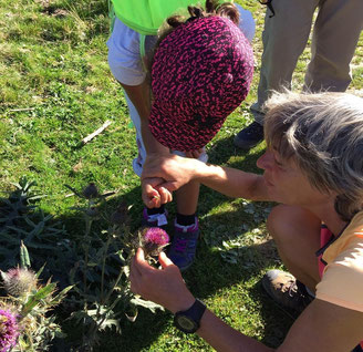 balade du petit naturaliste en montagne ariège pyrenées famille enfants en 1/2 journée