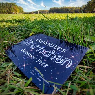 Detailaufnahme eines Sternenkindschildchens im Gras liegend