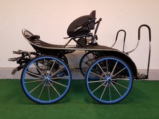Kutsche, Geländekutsche, Pony, Lenkverzögerung, Einspänner, Zweispänner, Zeugner, MM18, Marathon, Marathonwagen