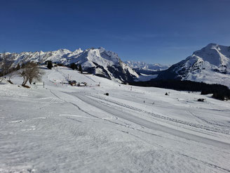 Nous descendons vers le chalet du Lachat en évitant la zone protégée où niche la faune dans les buissons. Pause pique nique au soleil de 12h20 à 13h.
