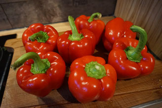 Rezept vegetarische Paprikasuppe | schnell und einfach
