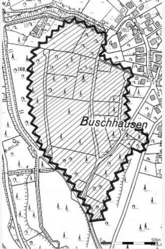 Geplante Rodungs- und Bebauungsfläche Buschhausen