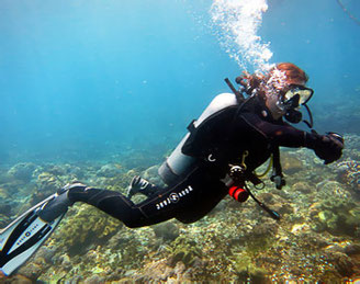 scuba diving in nusa lembongan