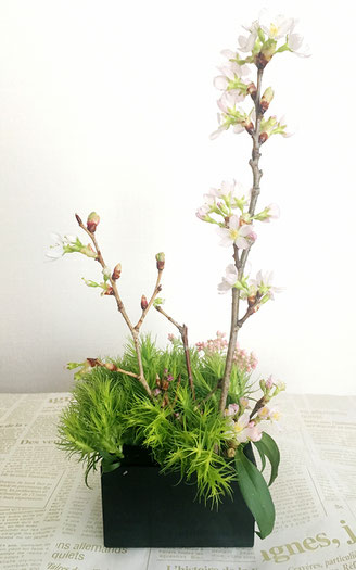 美意識を高める食器とお花の世界 第6回 おうちでお花見、桜を飾ってみよう! ㉓
