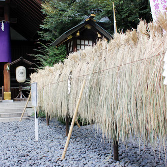【飯田橋】東京大神宮:縁結びにご利益がある東京のお伊勢様は家内安全、厄除開運、商売繁昌、心願成就なども ジョワーヌ東京