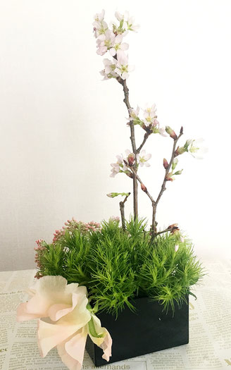 美意識を高める食器とお花の世界 第6回 おうちでお花見、桜を飾ってみよう! ㉒