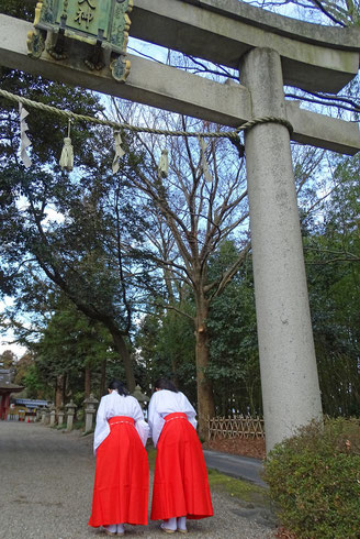 鳥居前一礼(巫女)